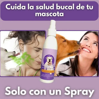 Cuidado bucal mascota