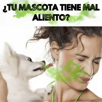 Cuidado bucal mascota